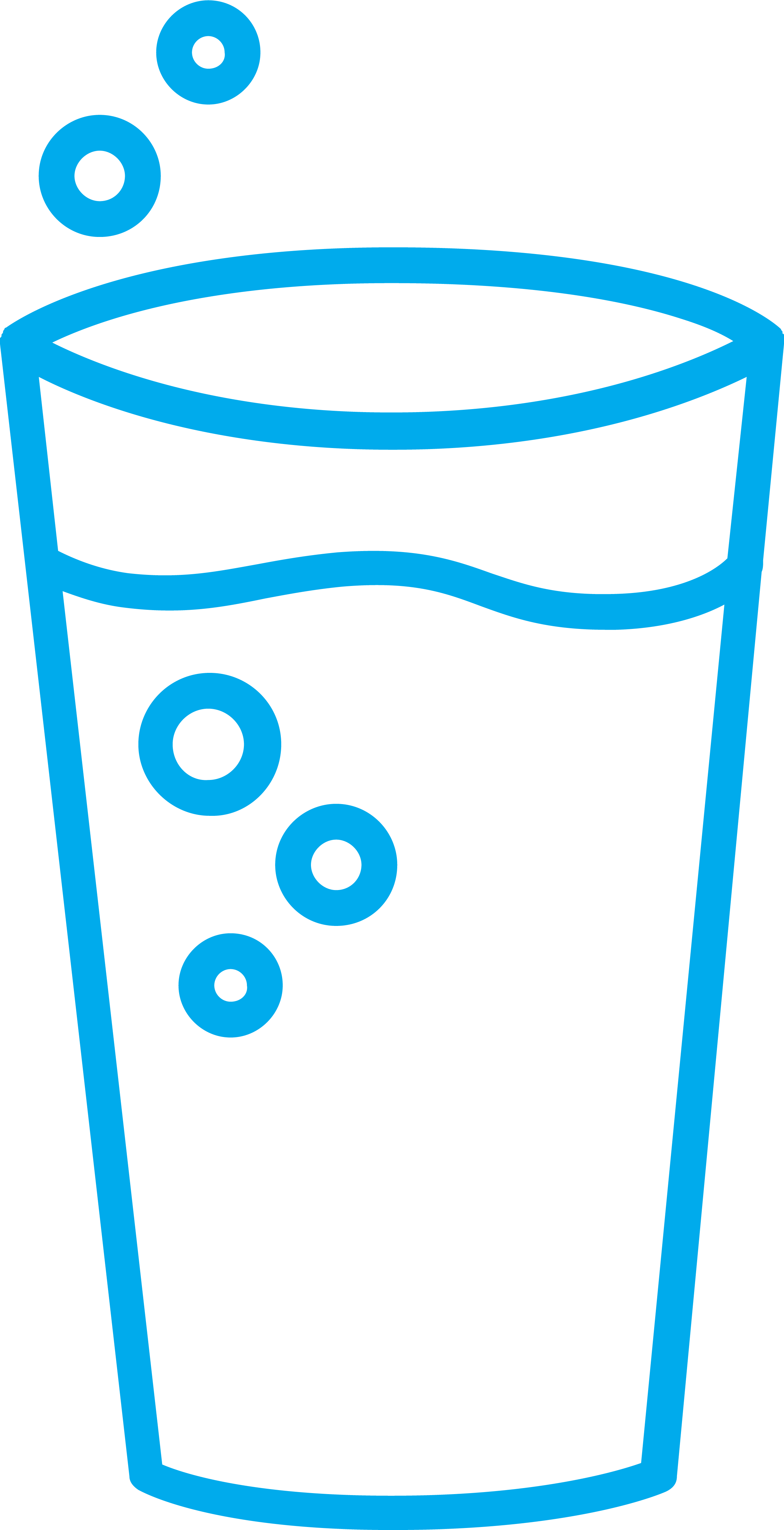 Sparkling water Icon